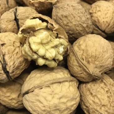 纸皮核桃去皮25~30mm干