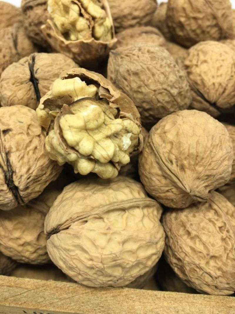 纸皮核桃去皮25~30mm干