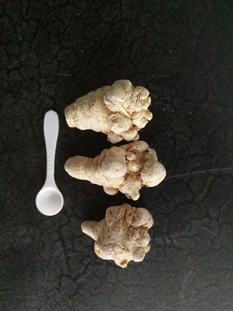 三七冻干三七特级一级