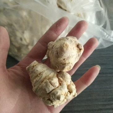 三七冻干三七特级一级