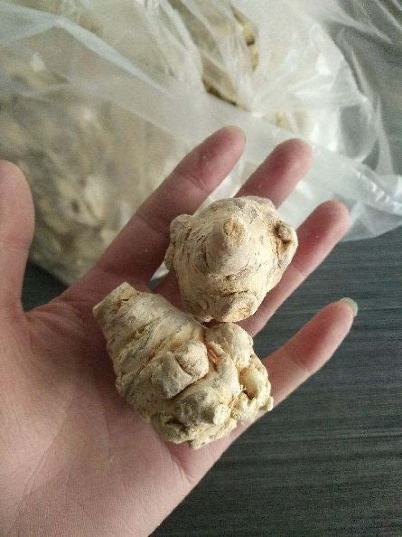 三七冻干三七特级一级