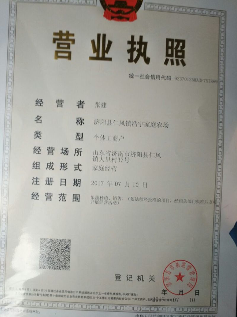 富硒西瓜2斤打底9成熟1茬