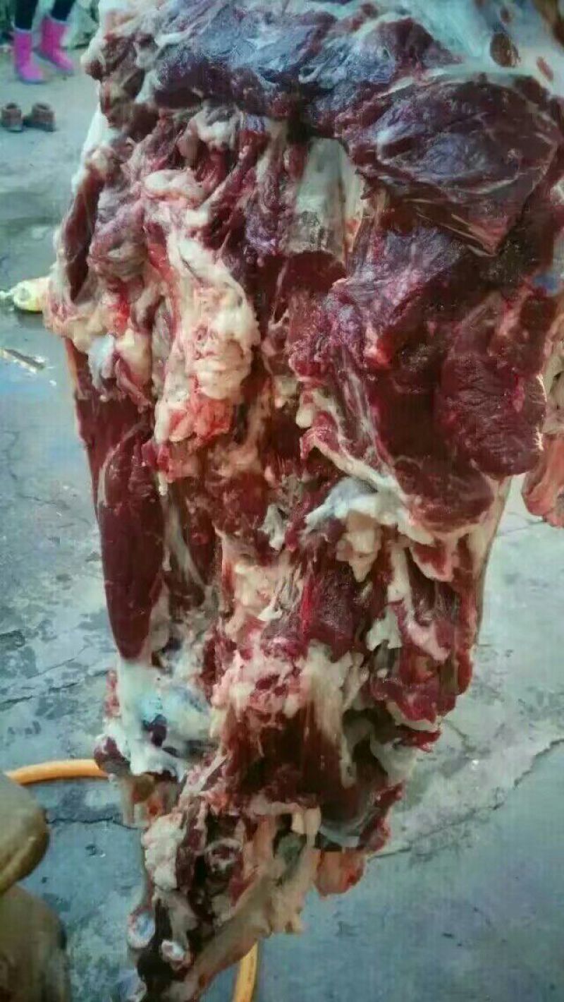 驴肉鲜货