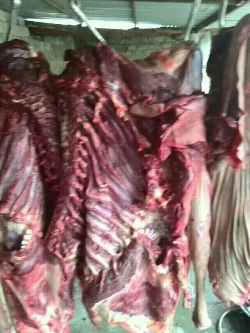 驴肉鲜货
