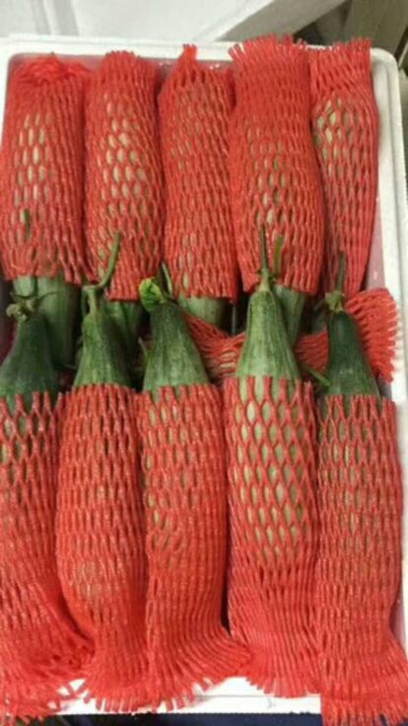 羊角蜜甜瓜精品1斤以上，锦玉羊角蜜