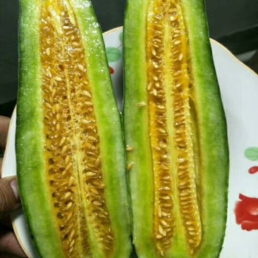 羊角蜜甜瓜精品1斤以上，锦玉羊角蜜