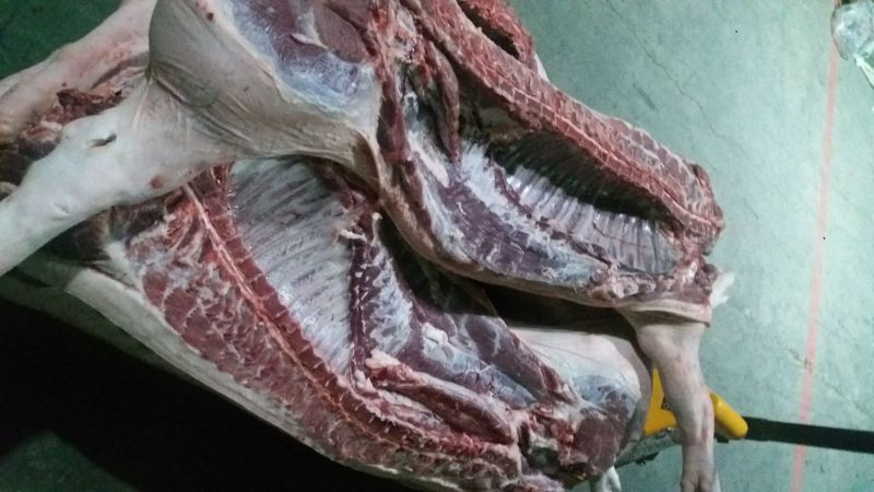 【推荐】精品排骨视频看货诚信经营欢迎咨询