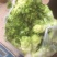 儿菜5两以上