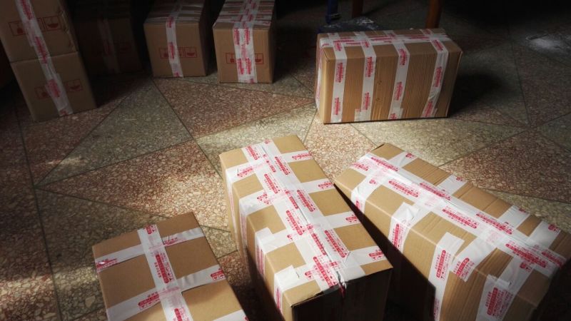 500棵起批包邮无渣粉葛待育芽种苗桂葛一号春播种