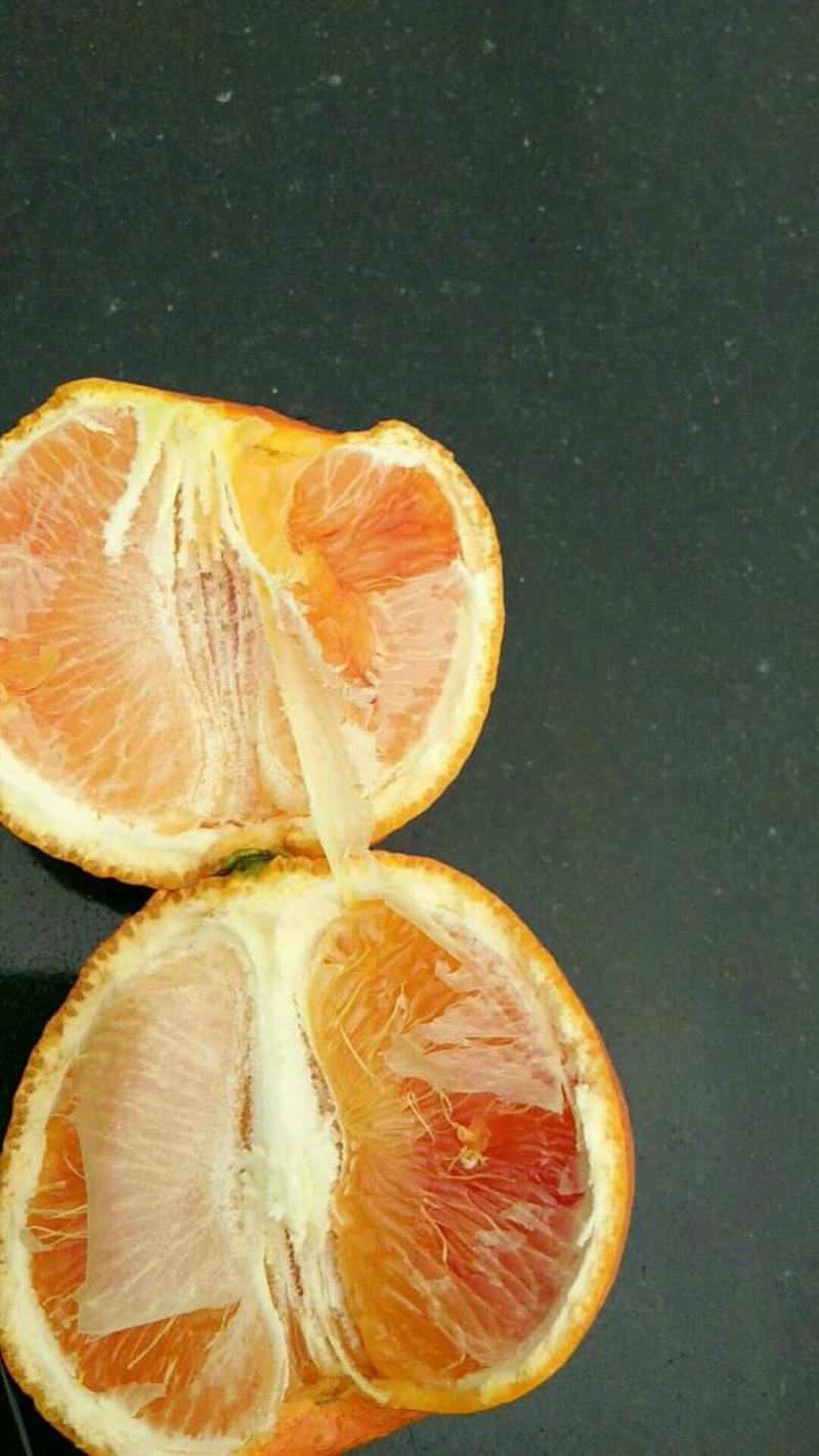 塔罗科血橙，量大从优，品质保障，欢迎咨询可以视频看货