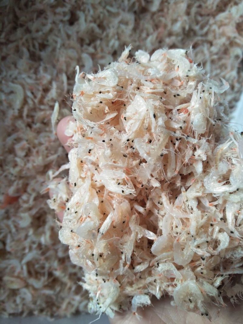 虾皮一级