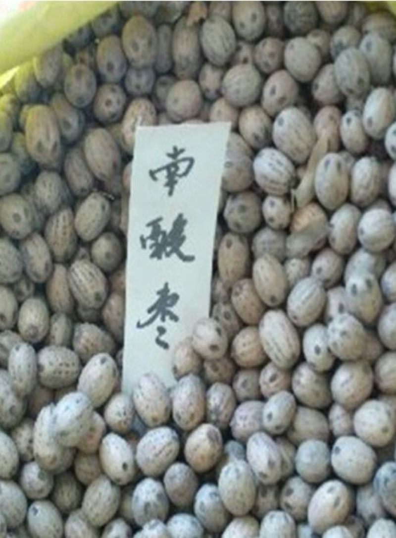南酸枣干枣通货