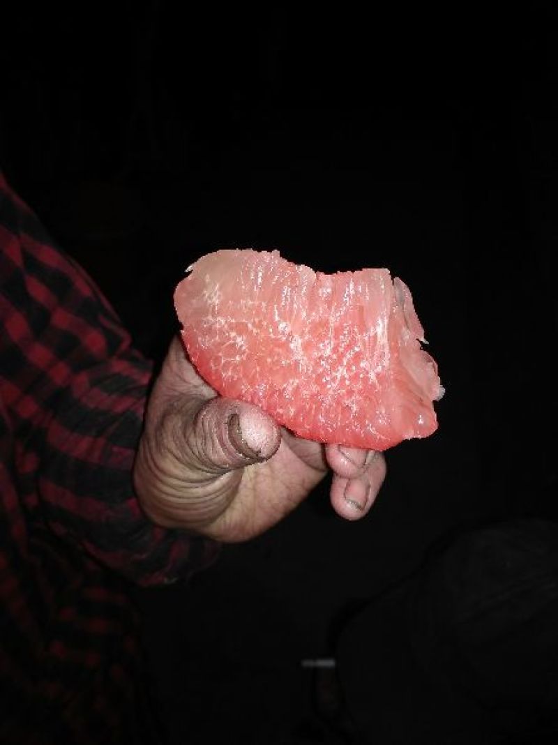柚子，红心柚，自家果园自产红柚，不干不柴，口感好甜度高