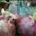 红皮二红洋葱8厘米以上