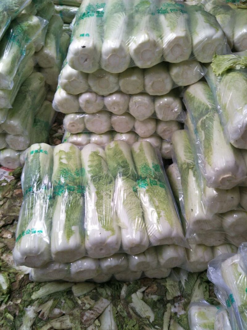 大白菜种子