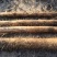 九斤黄山药3～6厘米50~70厘米特级手捡