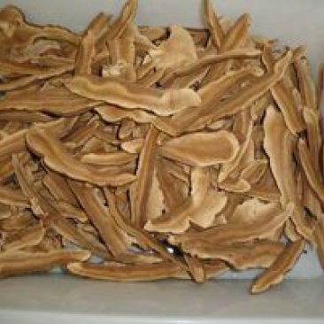 灵芝切片8公分以下