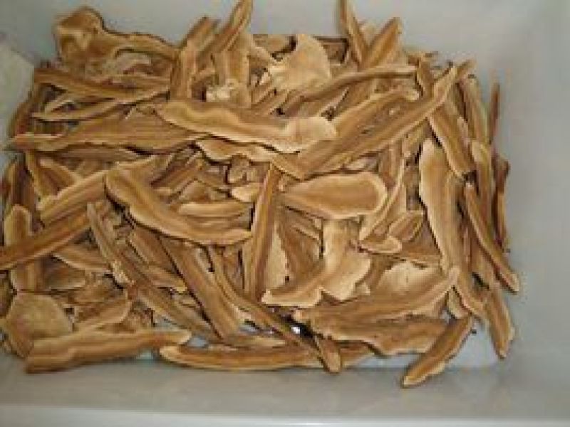 灵芝切片8公分以下