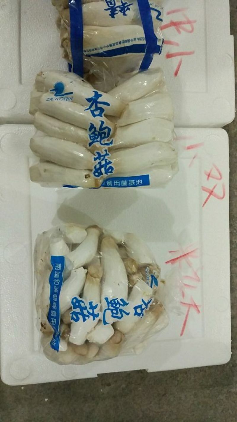 杏鲍菇一级