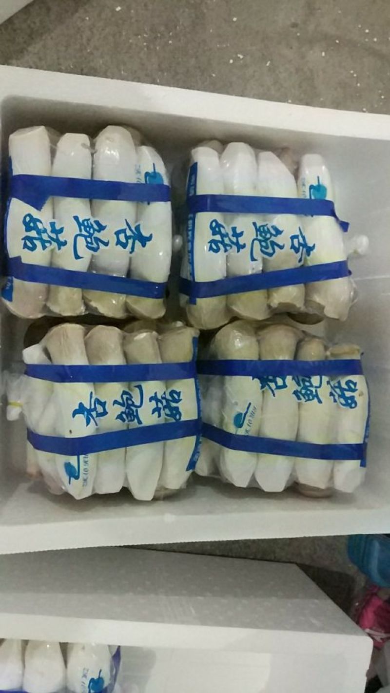 杏鲍菇一级