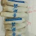 杏鲍菇一级