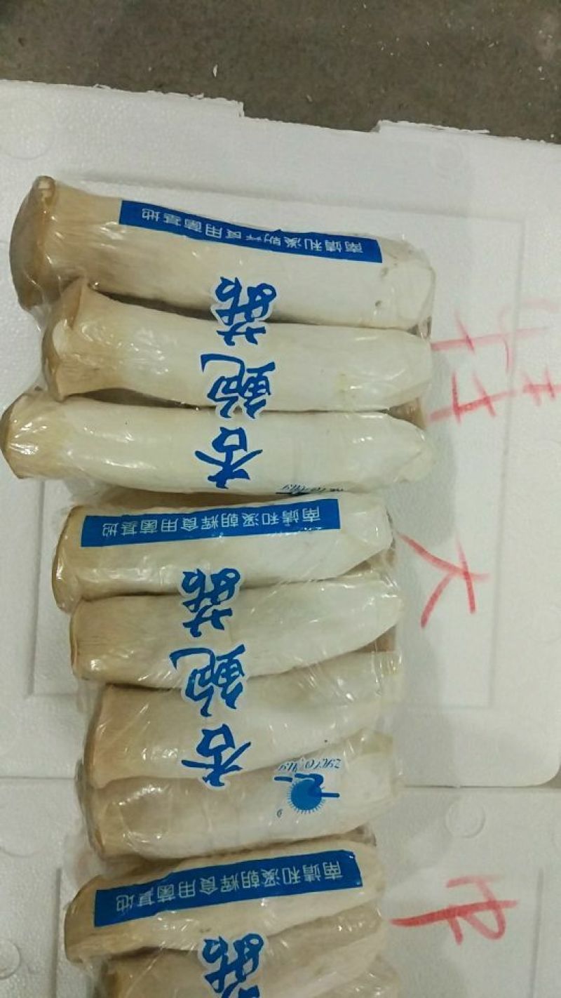 杏鲍菇一级