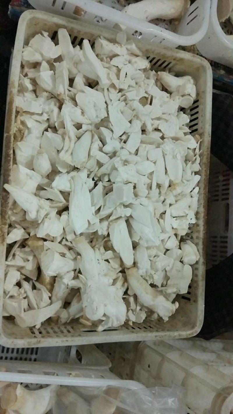 杏鲍菇一级