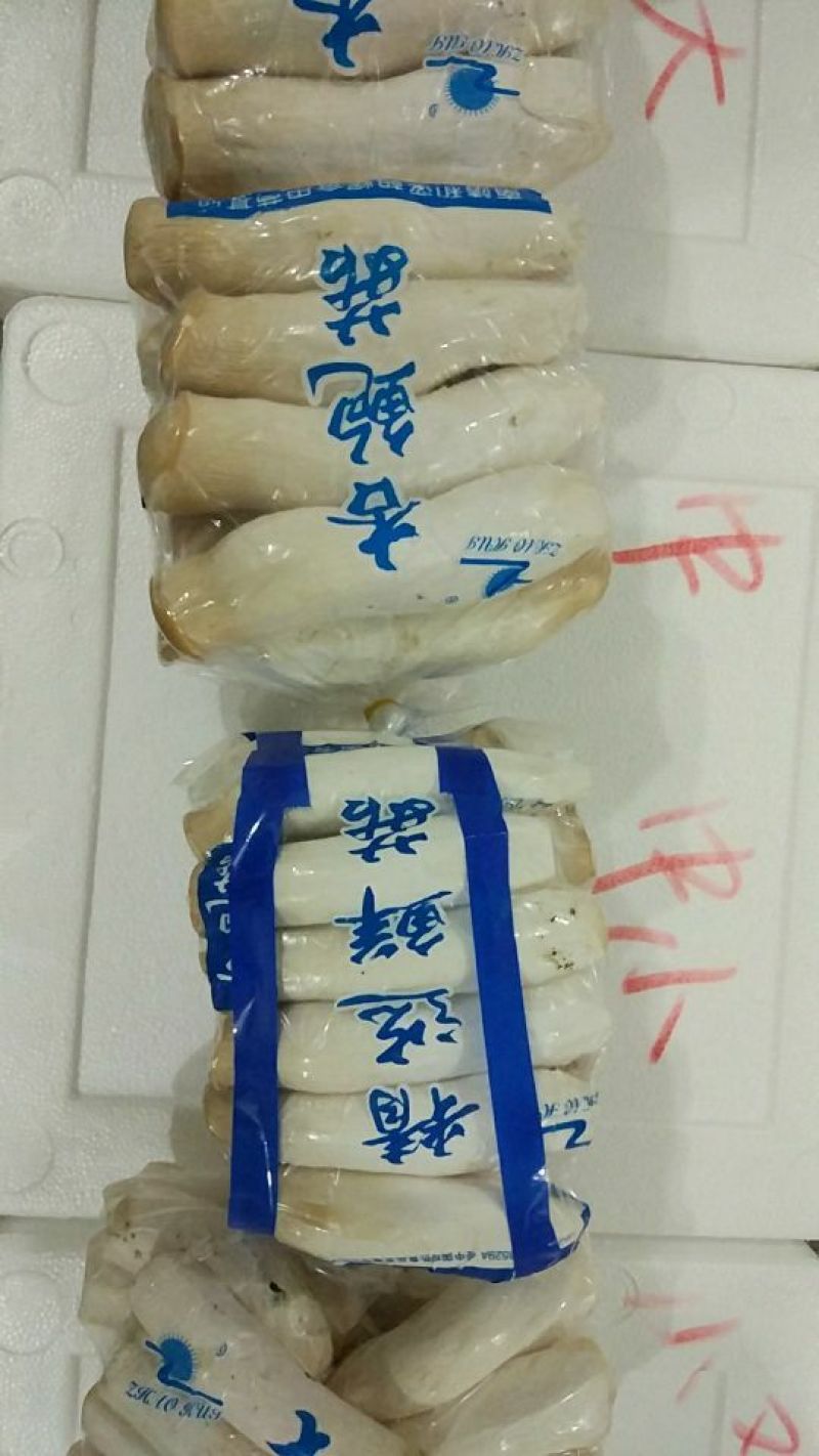 杏鲍菇一级