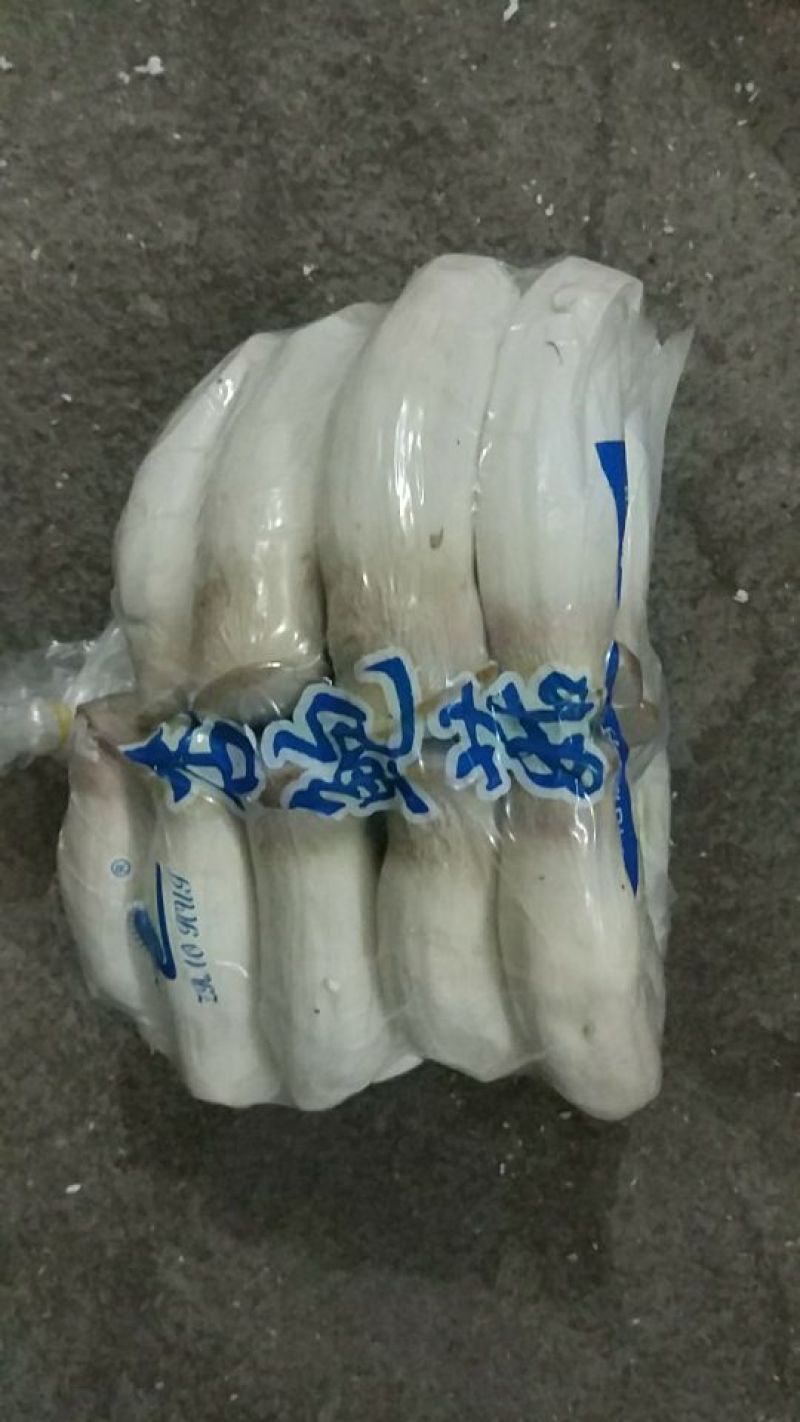 杏鲍菇一级
