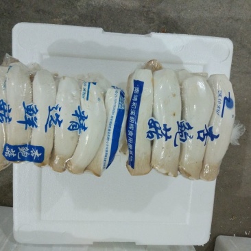 杏鲍菇一级