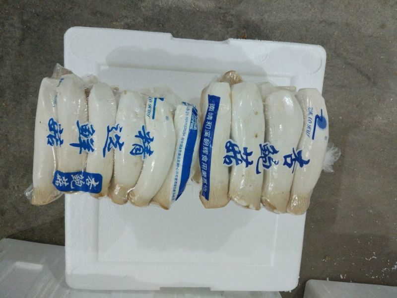 杏鲍菇一级
