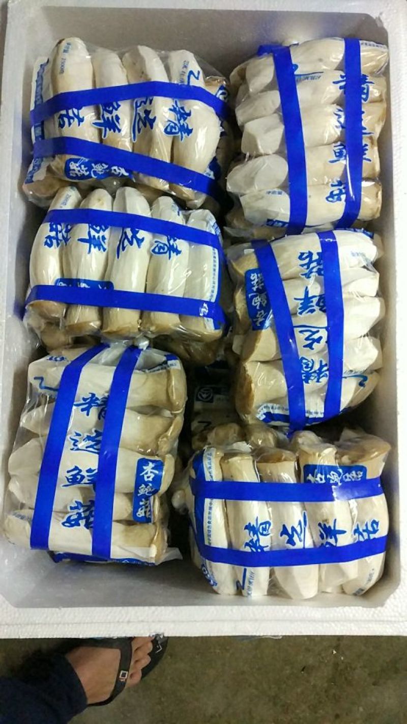 杏鲍菇一级