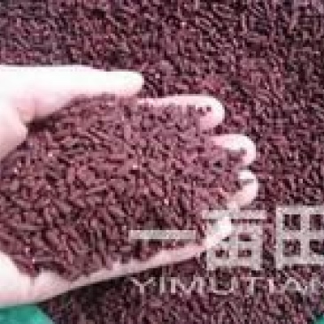 福建省三明市红粬批发