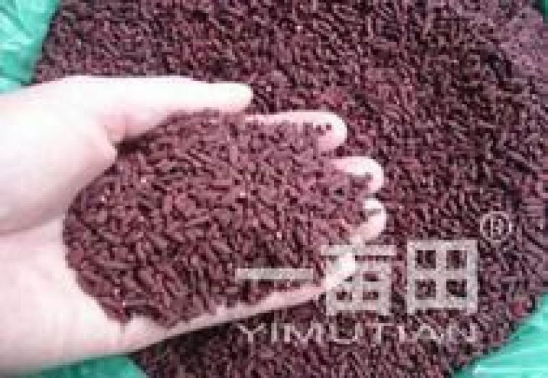 福建省三明市红粬批发