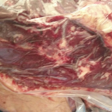 马肉冷藏