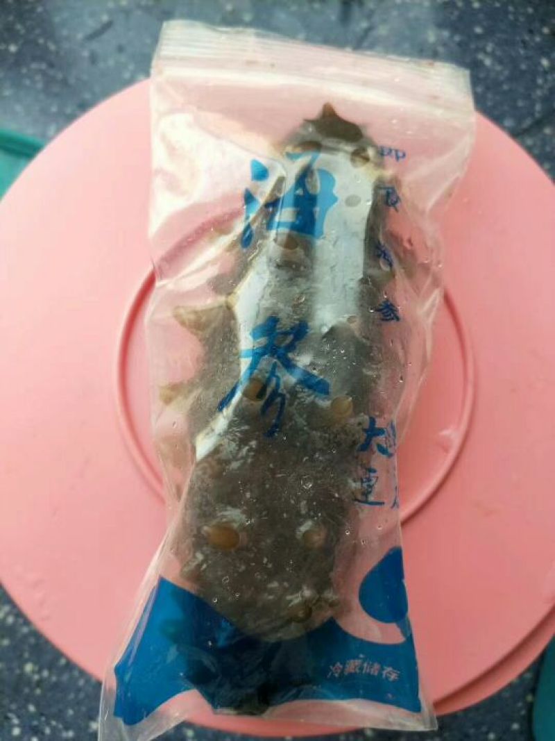 淡干海参