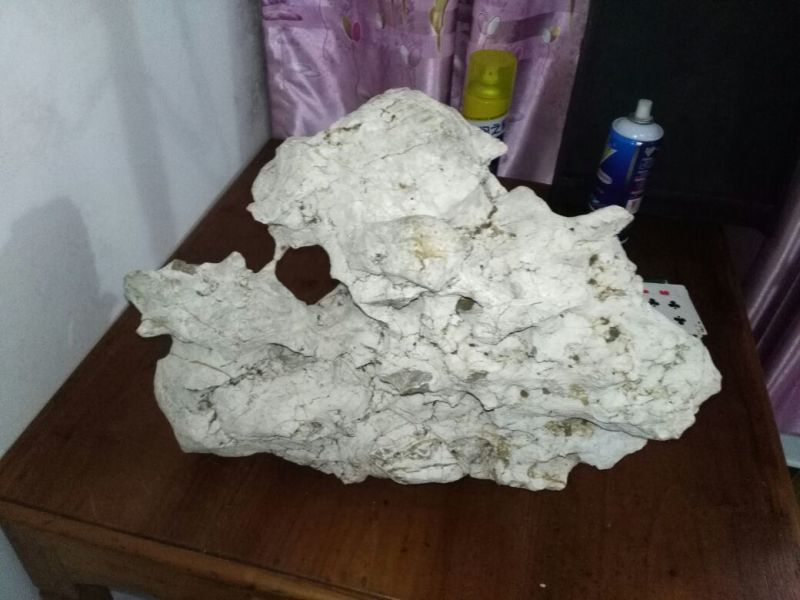 荆棵根雕