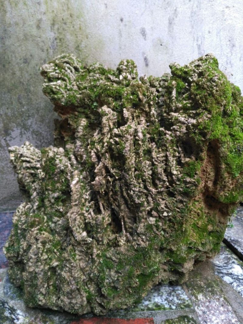 荆棵根雕