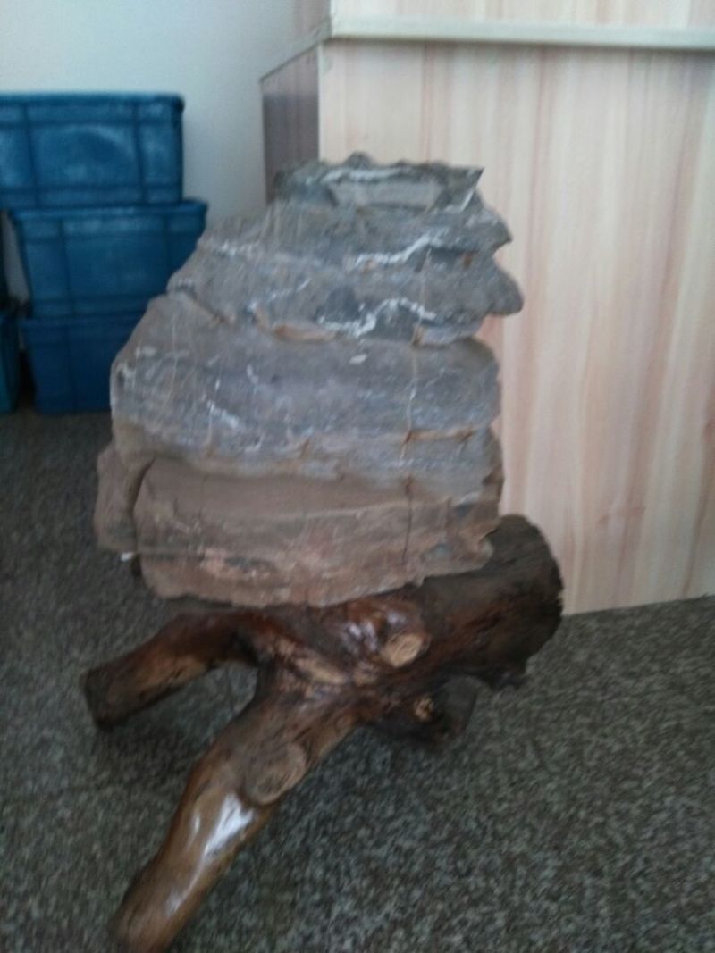 荆棵根雕
