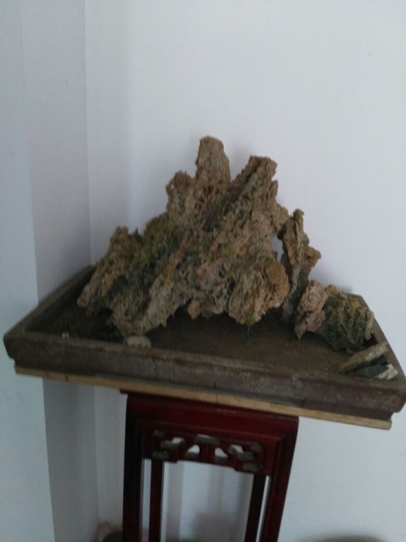 荆棵根雕