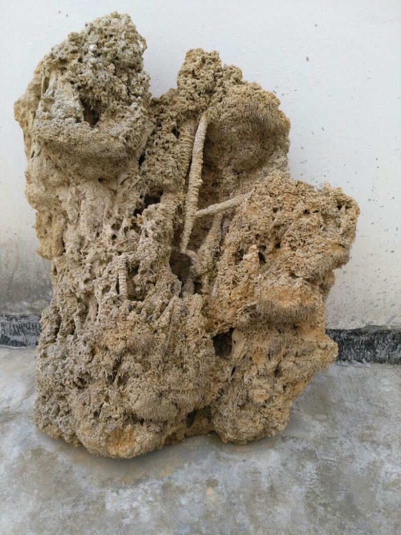 荆棵根雕