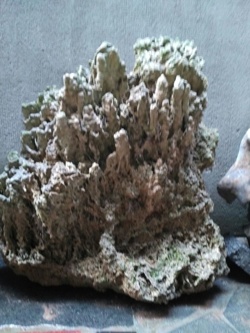 荆棵根雕
