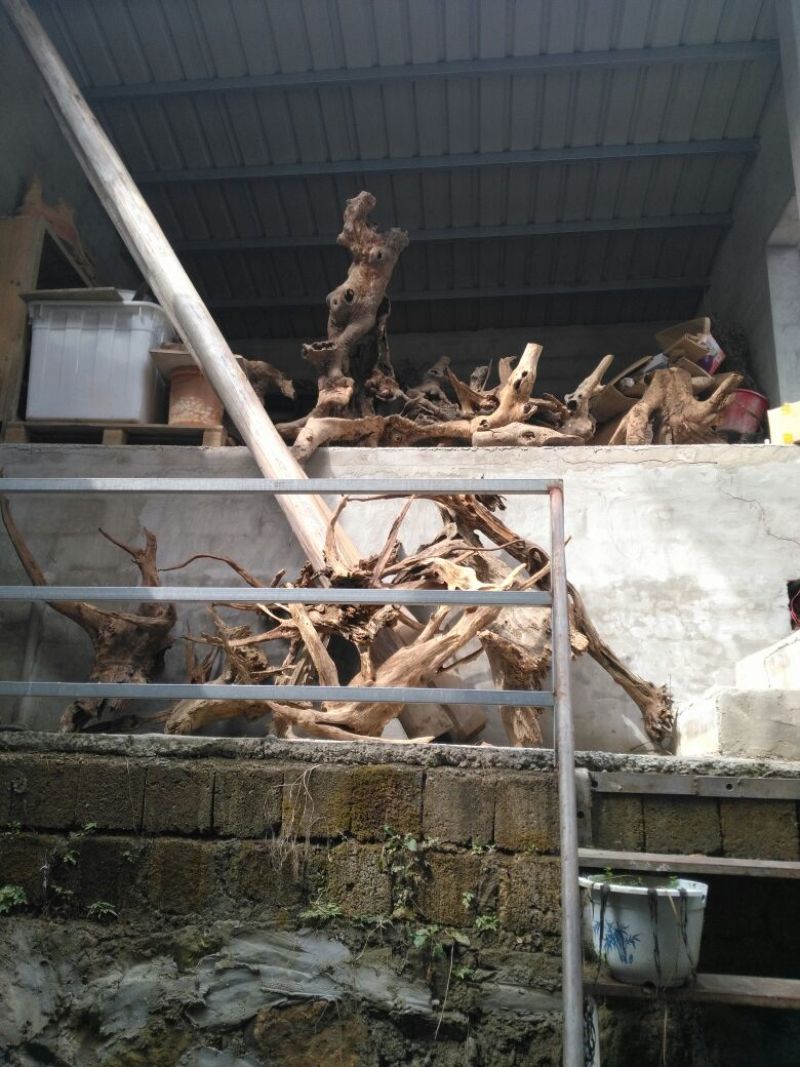 荆棵根雕
