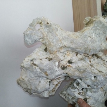 荆棵根雕