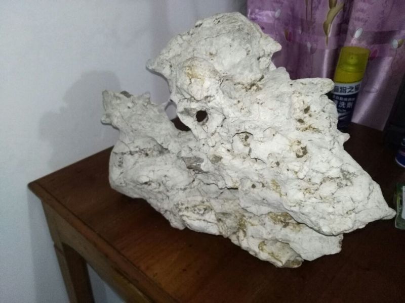 荆棵根雕