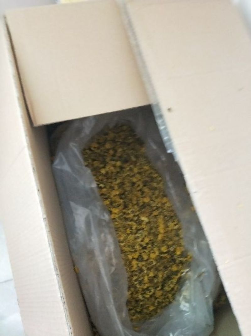 怀菊花散装