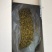 怀菊花散装