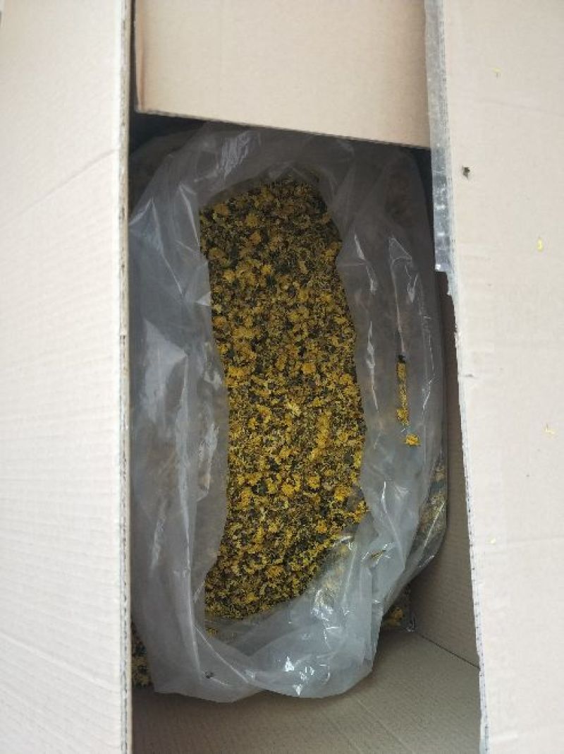 怀菊花散装