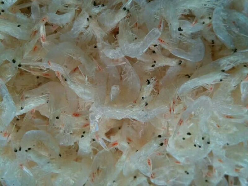 虾皮野生烘干无盐虾皮
