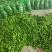 芜湖椒10~15厘米青微辣基地直供保证货源新鲜